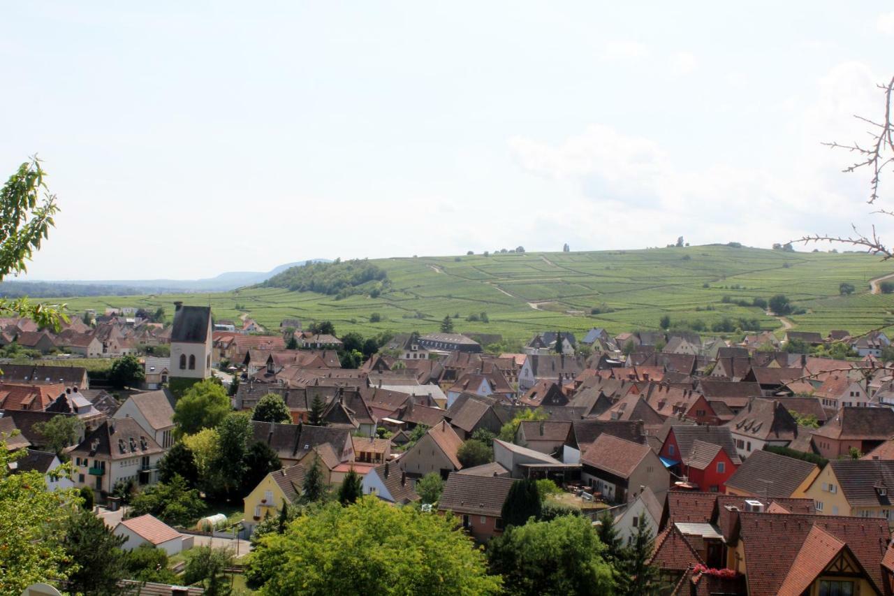 Gite Des 5 Cigognes Rouge Mittelwihr Exteriör bild