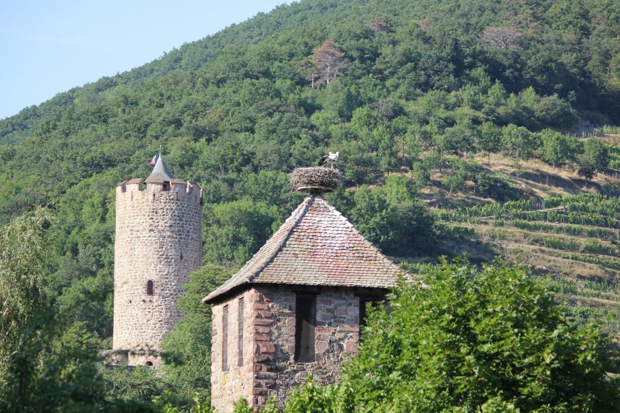 Gite Des 5 Cigognes Rouge Mittelwihr Exteriör bild